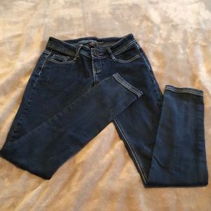 Great Condition Iris Premium Low Rise Skinny Jean